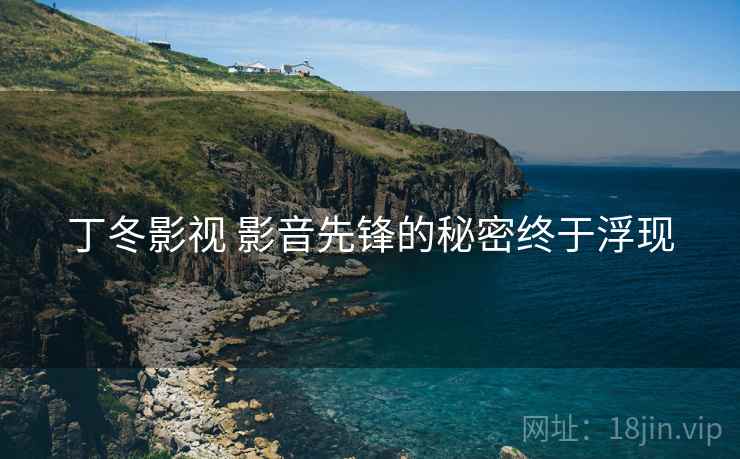 丁冬影视 影音先锋的秘密终于浮现 第2张 丁冬影视 影音先锋的秘密终于浮现 第2张