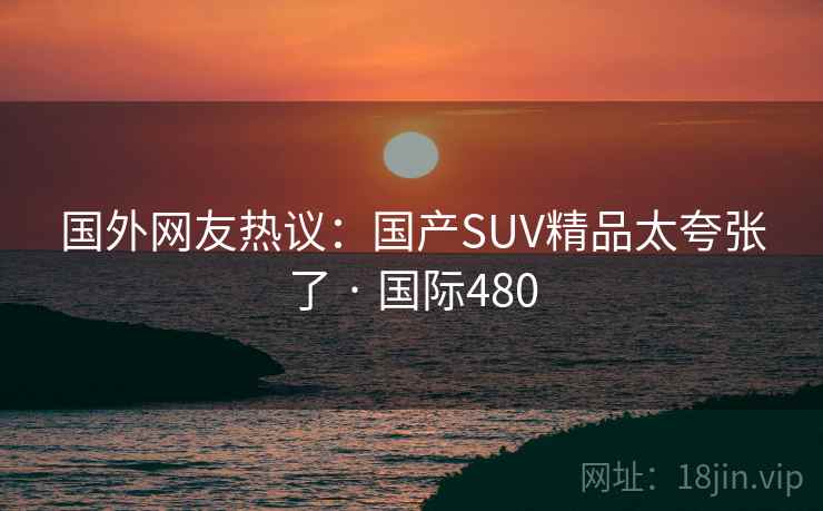 国外网友热议:国产SUV精品太夸张了 · 国际480 第2张 国外网友热议:国产SUV精品太夸张了 · 国际480 第2张