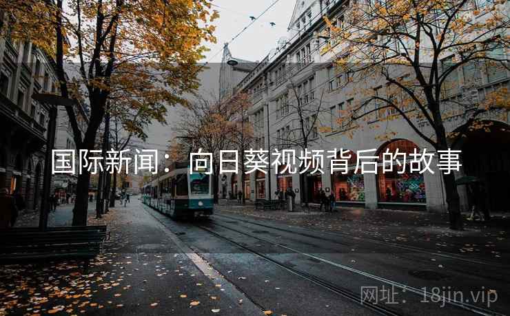 国际新闻:向日葵视频背后的故事 第2张 国际新闻:向日葵视频背后的故事 第2张